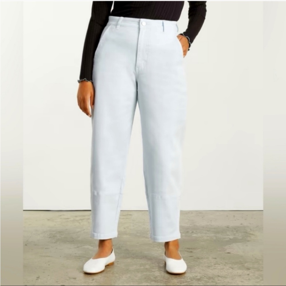 Everlane The Utility Barrel Pants in Sky Blue 16